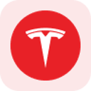 icon-Tesla Tokenized Stock (Reality)
