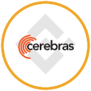 icon-Cerebras Tokenized bStocks