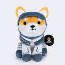 icon-Asteroid The Space Shiba Inu (asteroid.charity)