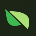 icon-Pear Protocol