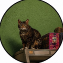 icon-GTA6CAT (thegta6cat.com)