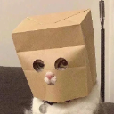 icon-Anonymous Cat