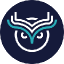 icon-Wise Token