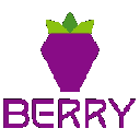 icon-Berry Data