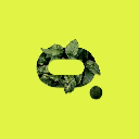 icon-Moss Carbon Credit