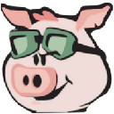 icon-Pig Finance