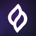 icon-Seedify.fund