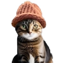 icon-catwifhat