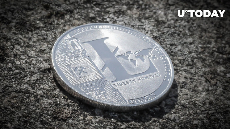 Ежедневные держатели Litecoin (LTC) выросли на 8%, вот ключевые маркеры роста, на которые стоит обратить внимание