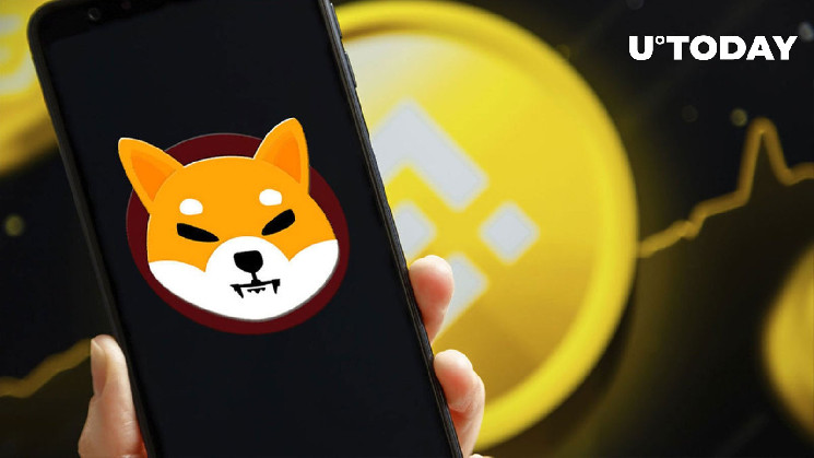 Только что 17,8 млрд SHIB переведены на Binance и другие кошельки