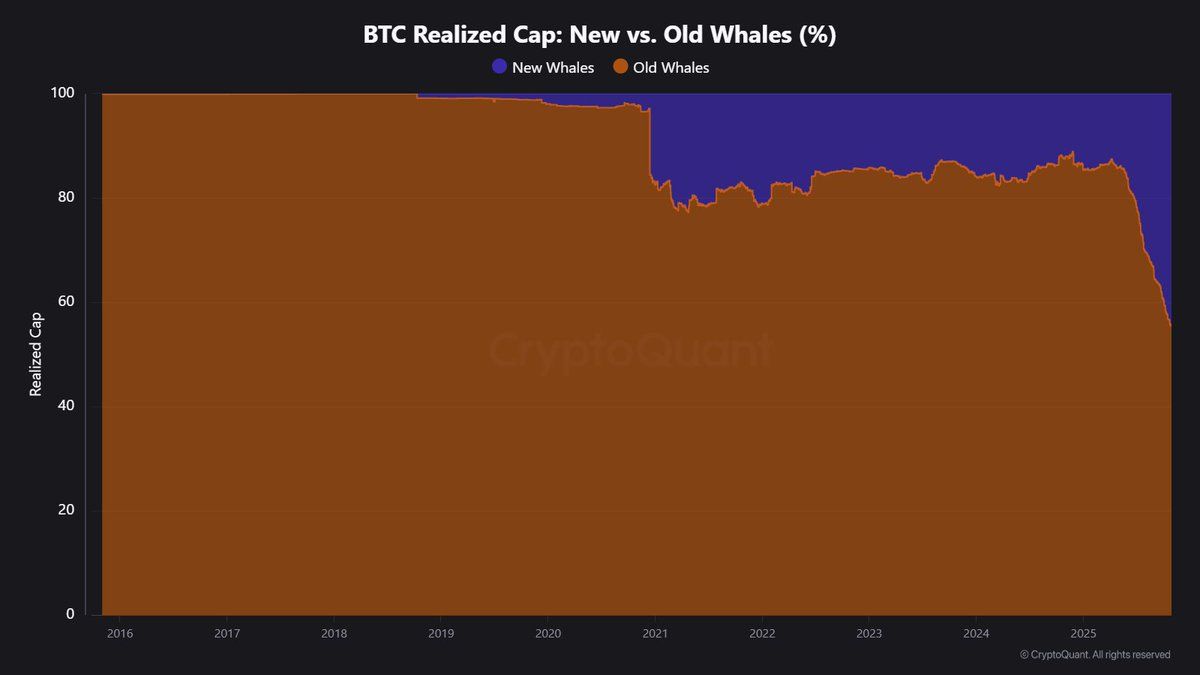 Capitalización realizada de de ballenas Bitcoin: nuevas vs. antiguas. Fuente: JA_Maartun vía X