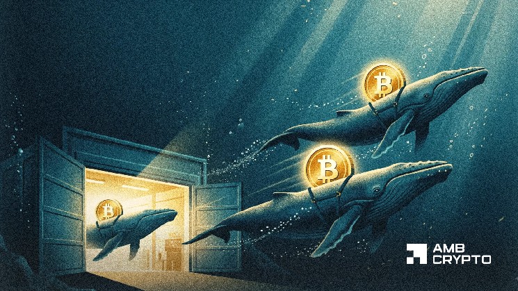 Bitcoin at $86.2K: BTC whales are profitable, but will they cash out?