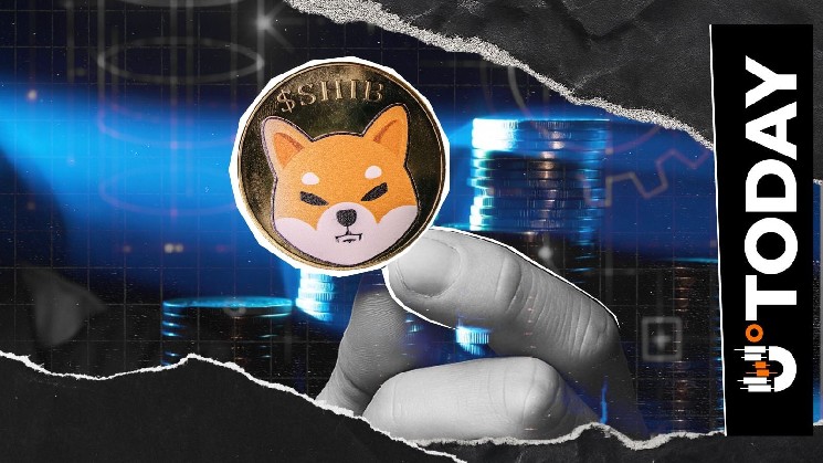 'Nothing to Do With SHIB Price': Shiba Inu Lead Ambassador Teases Update Ahead