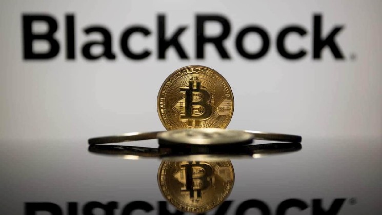Вот сколько сейчас держит биткойн BlackRock