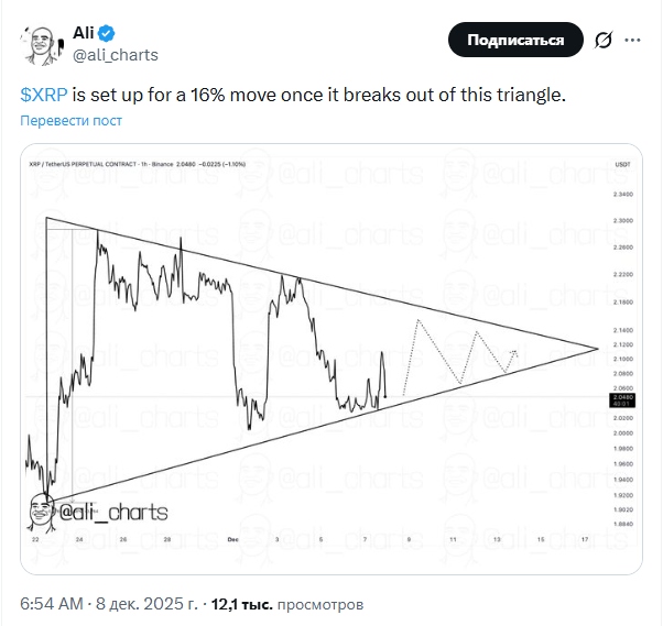 Opera Снимок_2025-12-08_133250_x.com