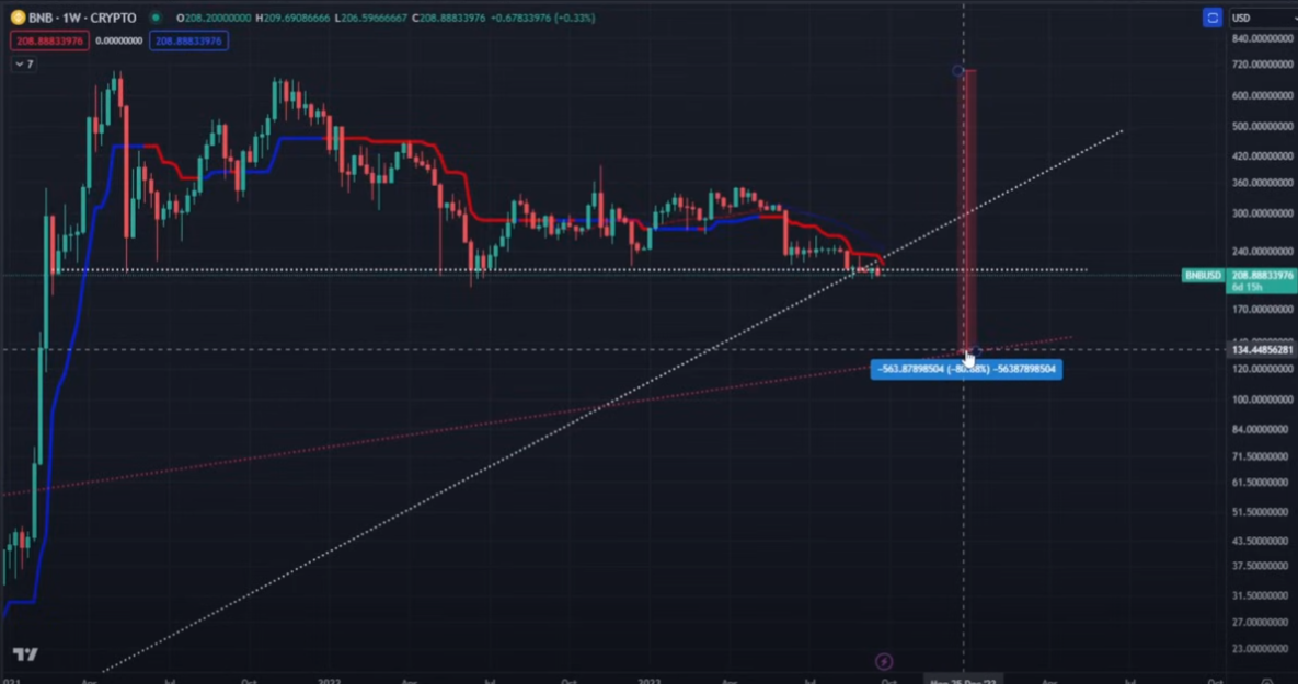 Никто не готов к масштабной коррекции монет Cardano, XRP и Binance, говорит криптоаналитик Николас Мертен