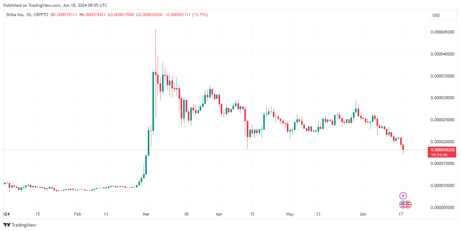 By TradingView - SHIBUSD_2024-06-18 (YTD)