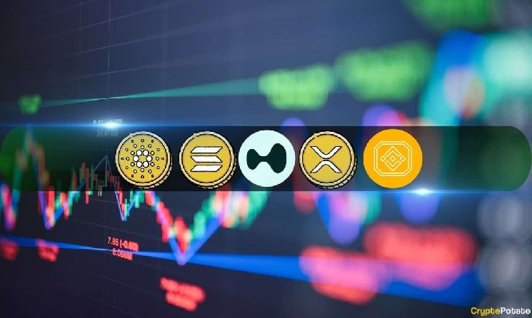 Анализ цены криптоодации-20 июня: XRP, ADA, BNB, SOL и HUPE