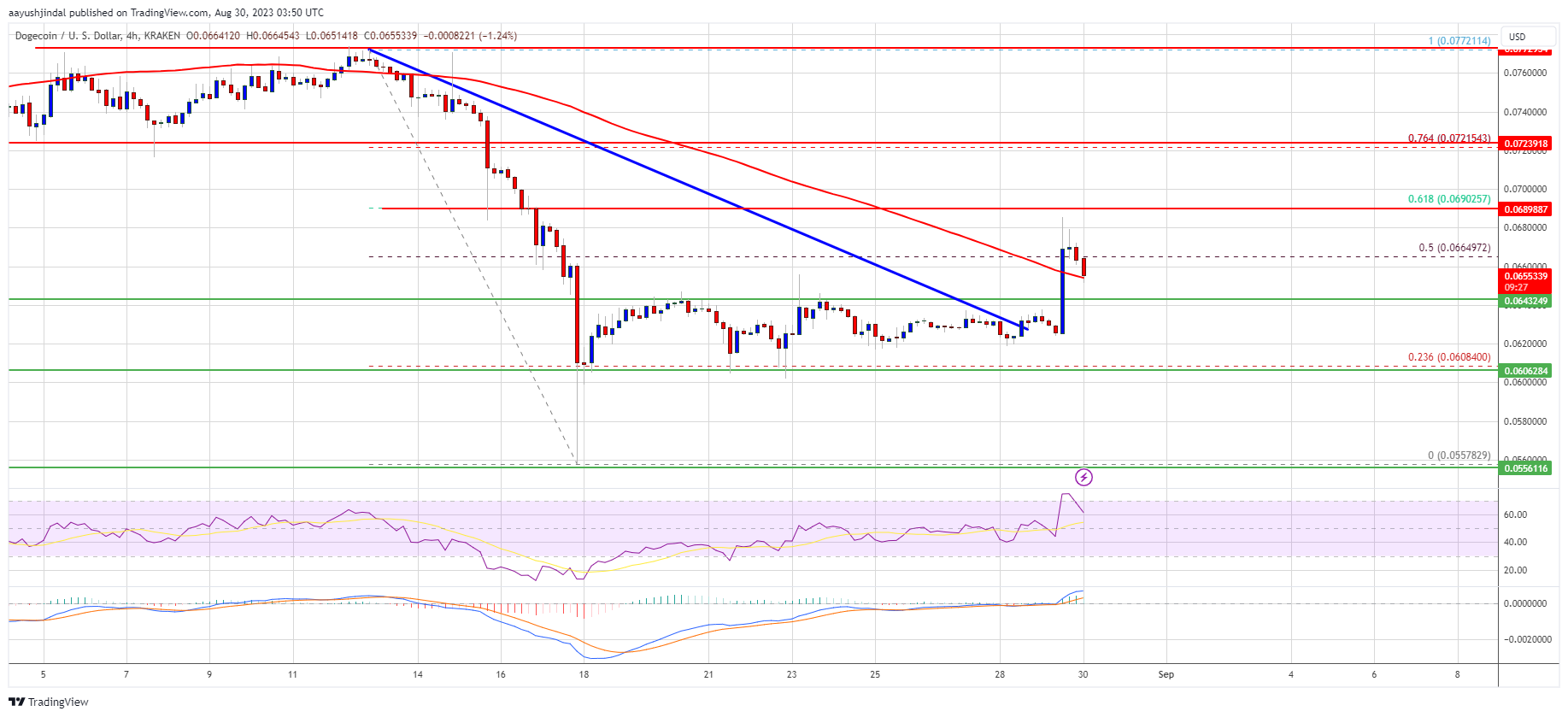 Harga DOGE Tetap Kuat Tapi Mengapa Bulls Dapat Menargetkan Reli Ke $0.078