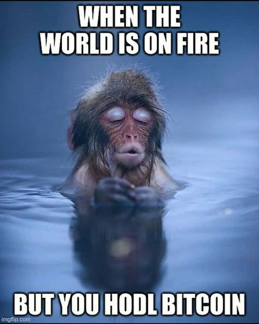 Bitcoin Legal Tendering, Twitter Takeovering, Funds Forever Locking and 20  Crypto Jokes