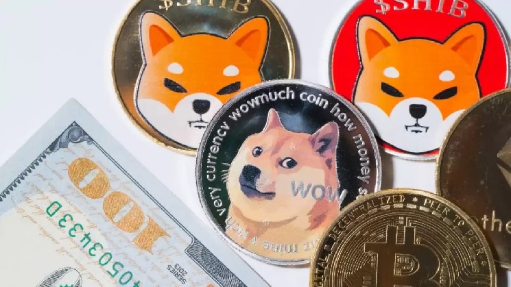 Best Meme Coins to Buy Now: DOGE, SHIBA INU, and MAGACOIN FINANCE in ...