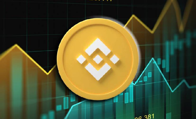 Кит перевел $1 млн в токенах Broccoli на адрес CZ Binance