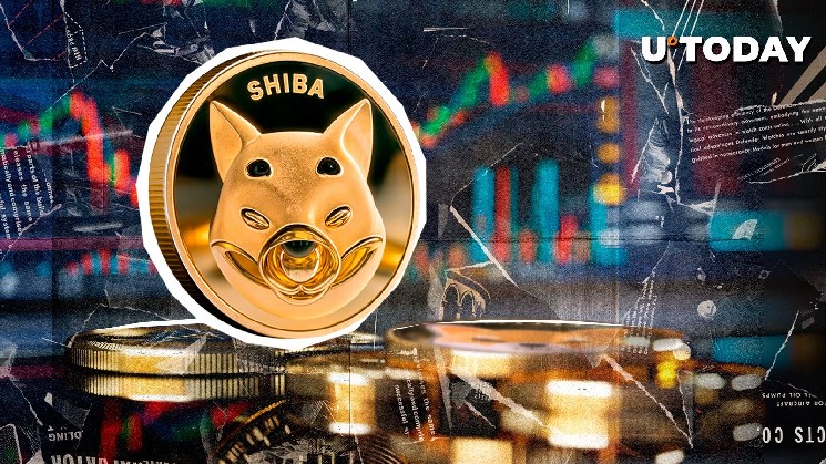 Шиба Ину шансы на быстрое выращивание нуля