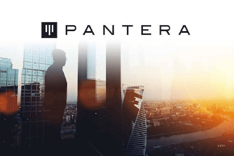 Pantera Capital приобретает дополнительные токены Solana от продажи FTX