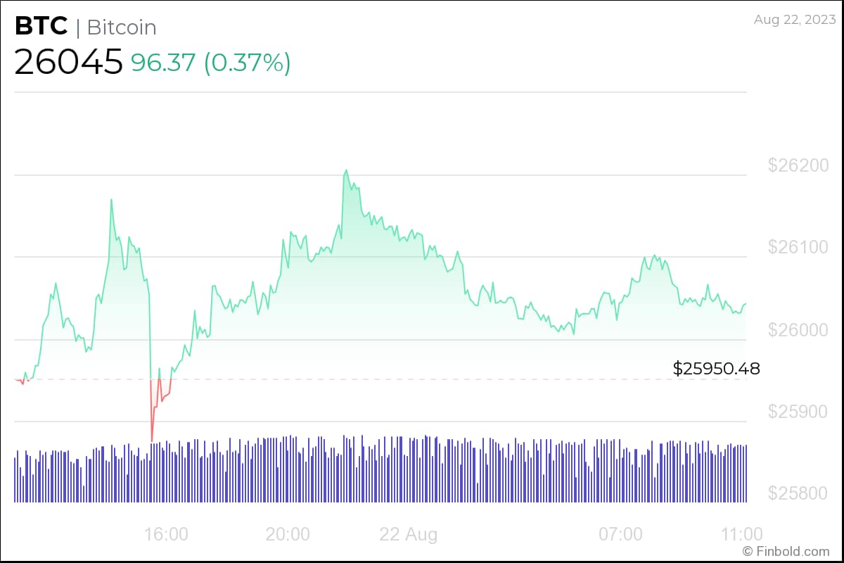 آیا سال 2023 سومین سال «سبز» سپتامبر در تاریخ بیت کوین خواهد بود؟