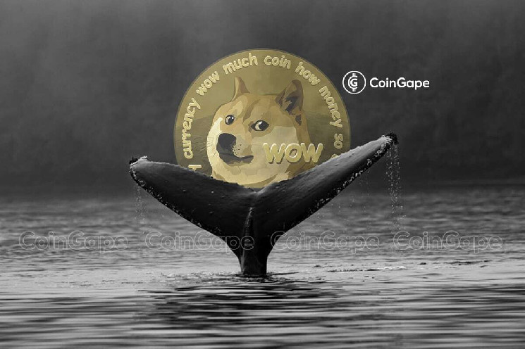 Dogecoin-киты перетасовывают более 1 миллиарда DOGE, поскольку цена приближается к $0,2, что дальше?