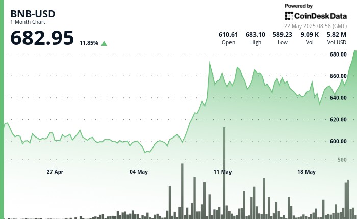 BNB поднимается на 5% на силу бикантной экосистемы, так как биткойн расширяет прибыль