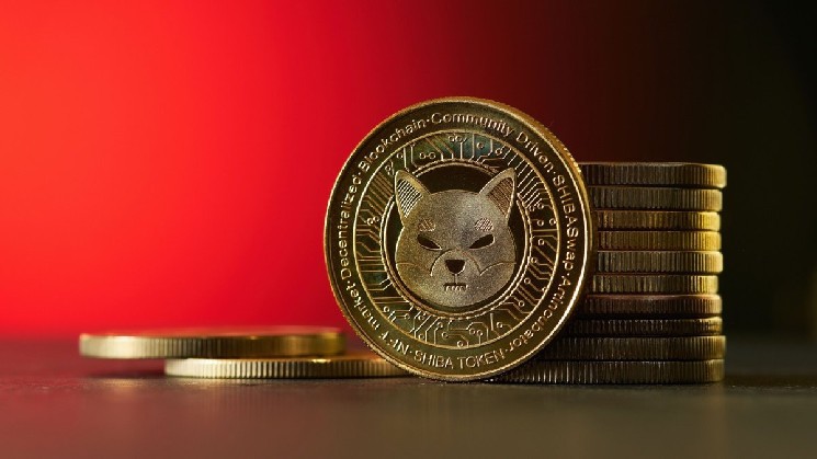 Все владельцы Shiba Inu могут быть спокойны: SHIB - их биткоин