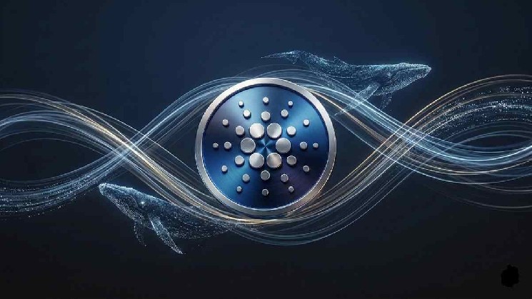 Cardano Whale Activity Surges as Massive Token Transfers Rock the Network