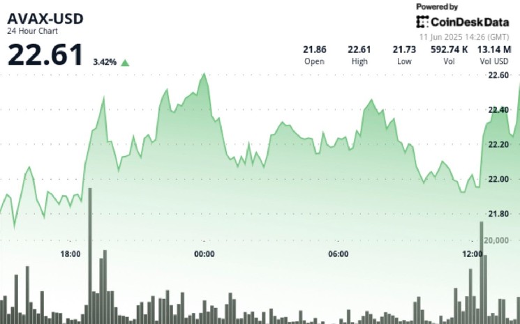 Avax добавляет 4% в зону поддержки $ 22