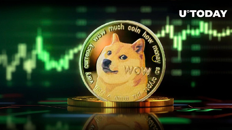 В центре внимания Dogecoin: ключевой показатель в цепочке мигает зеленым, несмотря на падение DOGE на 8%