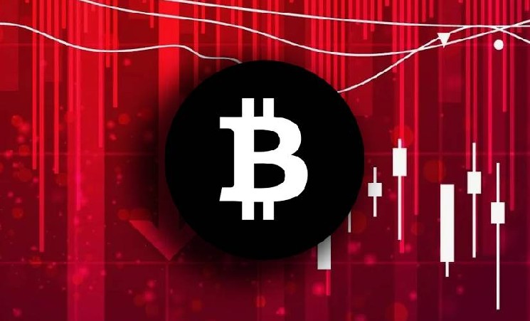 Новые инвесторы BTC в панике фиксируют прибыль и убытки на фоне спокойствия долгосрочных инвесторов Новые инвесторы BTC в панике фиксируют прибыль и убытки на фоне спокойствия долгосрочных инвесторов