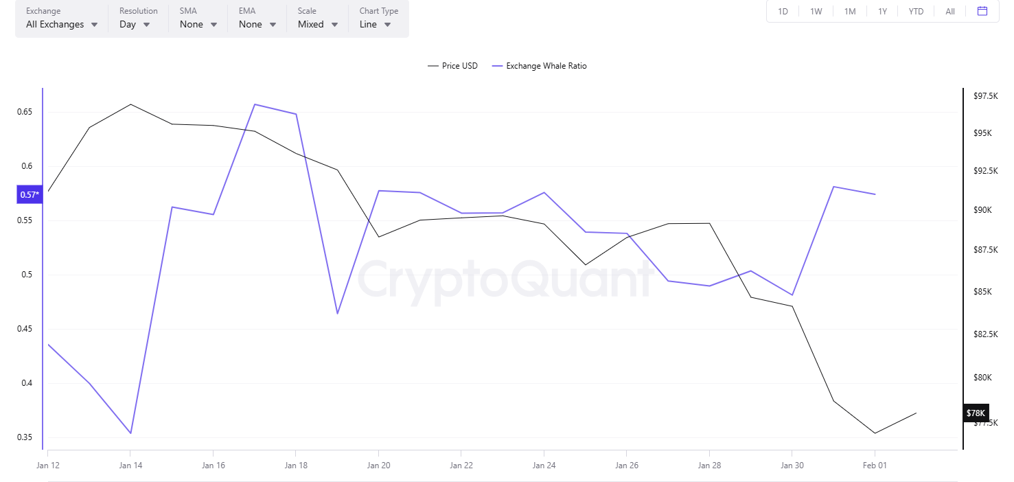 Киты покупают <span class=