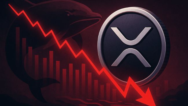 XRP отражает бычий цикл 2017 года: аналитики ожидают $20 по мере роста институциональных притоков