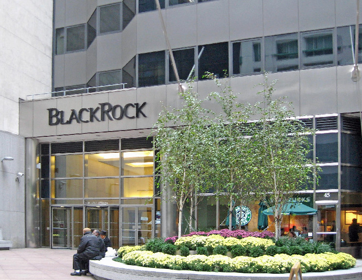 BlackRock’s Bitcoin ETF Inflows Climb to Fifth-Highest Among All ETFs in 2024