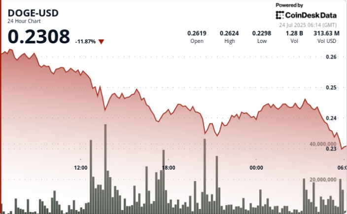 Dogecoin выпадает на 11%, как институциональные ставки, которые можно было выходить из -за сильной распродажи