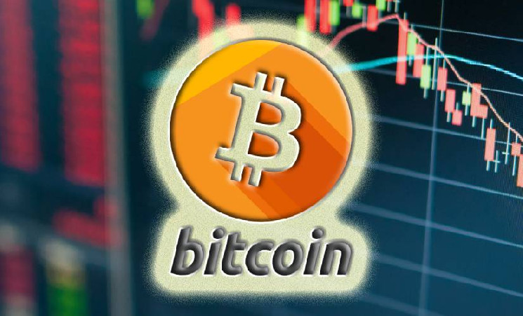 Правительство США владеет 1% биткоинов Правительство США владеет 1% биткоинов