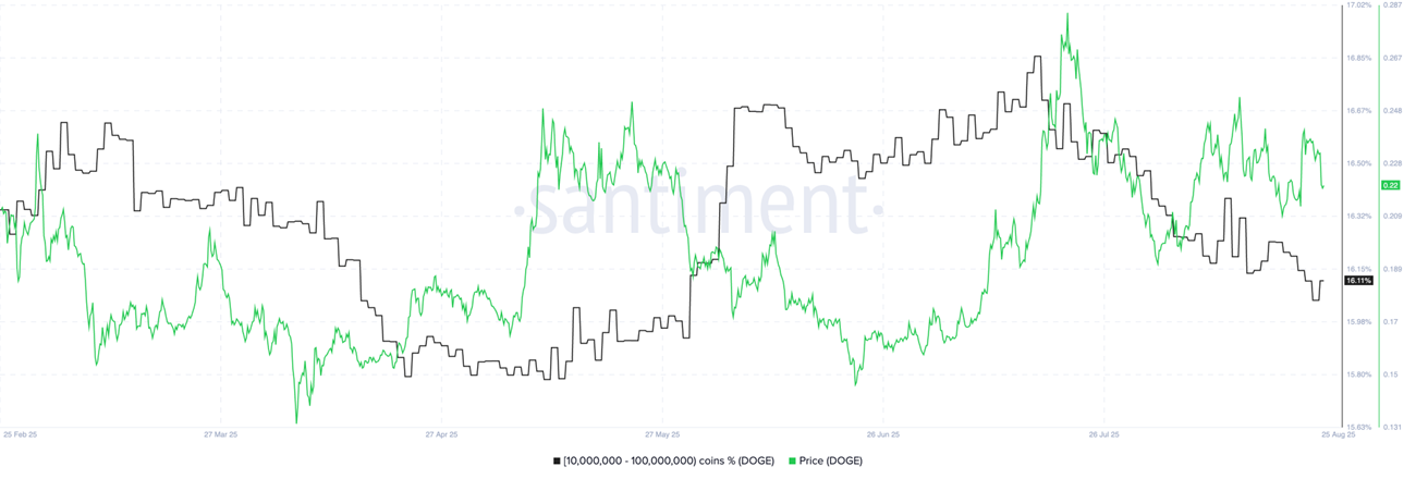 addresses holding between 10 million and 100 million DOGE coins