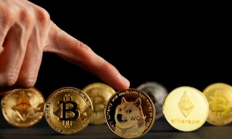 84% держателей Dogecoin (DOGE) получают прибыль, поскольку цена ожидает дальнейшего роста