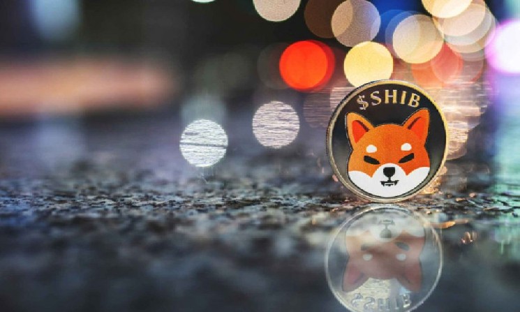 Dogecoin восстановился после падения на 8% — увидим ли мы $0,26