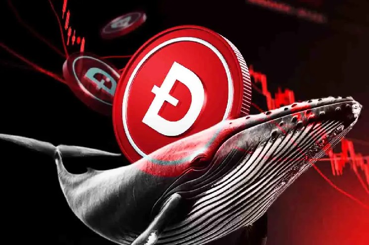 Цена Dogecoin разбивается на 11%, так как киты сбрасывают 60 м дог