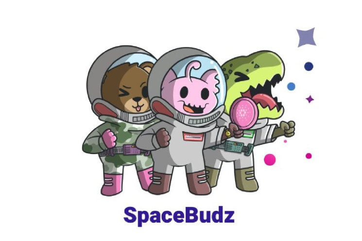 SpaceBudz new astronaut NFTs on Cardano