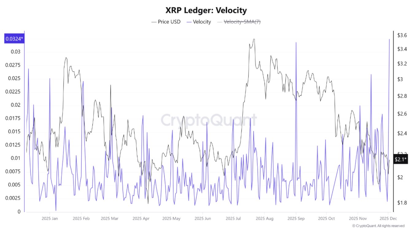 XRP Ledger Velocity Spike