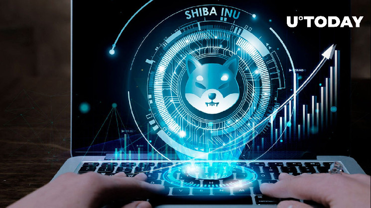 Шиба-ину на грани 4 миллионов адресов из-за скачка уровня внедрения SHIB