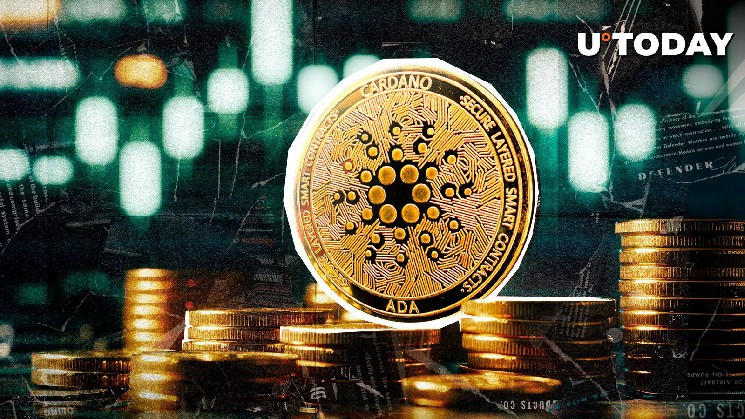Cardano (ADA) Рыночная капитализация Shares Spikes за ночь: покупка китов?