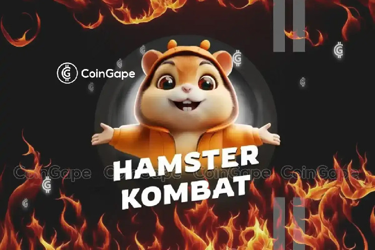 Hamster Kombat 14 сентября: вот комбо-карты и код шифрования на сегодня